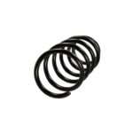 فنر لول عقب تارا اتوماتیک اصلی ایساکو